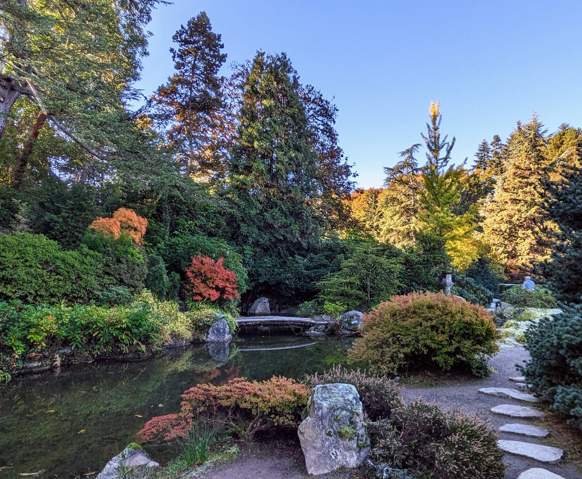 Kubota Garden, Seattle, WA      

#fallcolors #KubotaGarden #photography