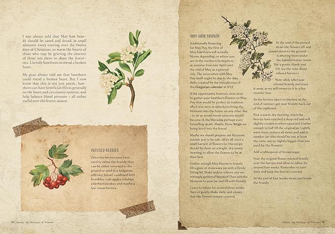 Opening the Time Traveller’s Herbal by @HerbalStorytell buff.ly/3QD7byy