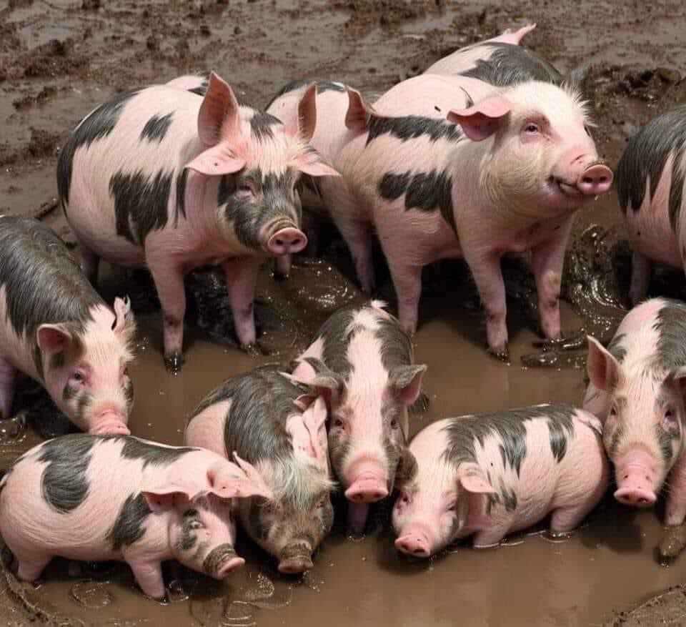 ضيق عينك لترى الحقيقة