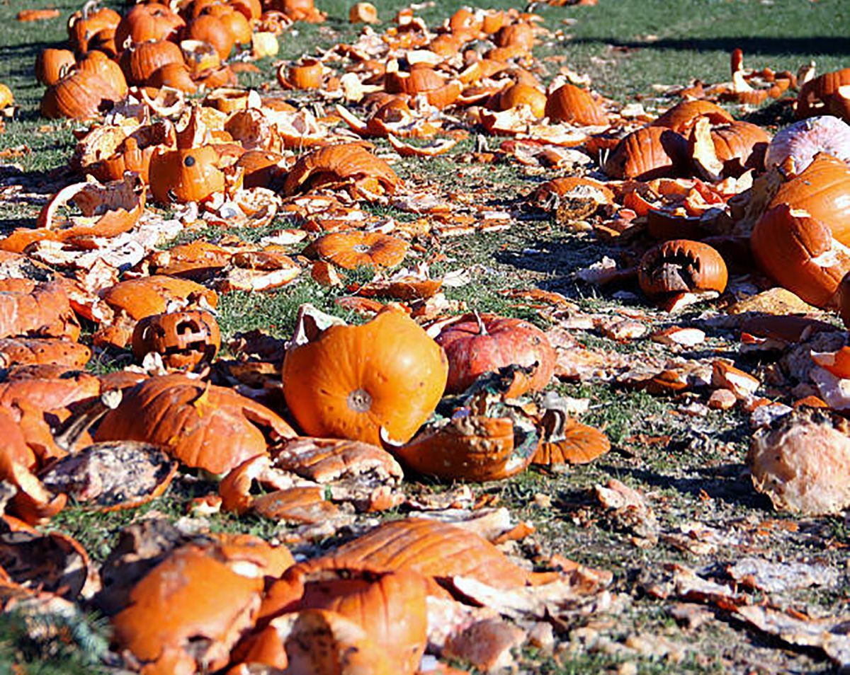 WWR_en's tweet photo. 🎃💥 The most pumpkins smashed in 1 minute is 52,

set by Ronald Sarchian (USA) in California on Oct 31, 2020,
matched same day by Ashrita Furman (USA) in New York.

#Halloween #Pumpkin #Record #WWR #GWR https://t.co/VjfE8nfnVw