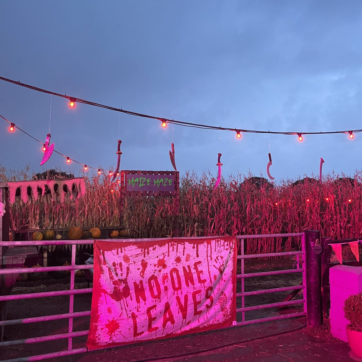 Just say a massive thank you to all our ice cream fans and everyone who visited us through October for our pumpkin picking &amp; Halloween fun
To all the team and everyone involved thanks for helping us pull off our fabulous night maze
Halloween @ seven sisters 2023 has been awesome