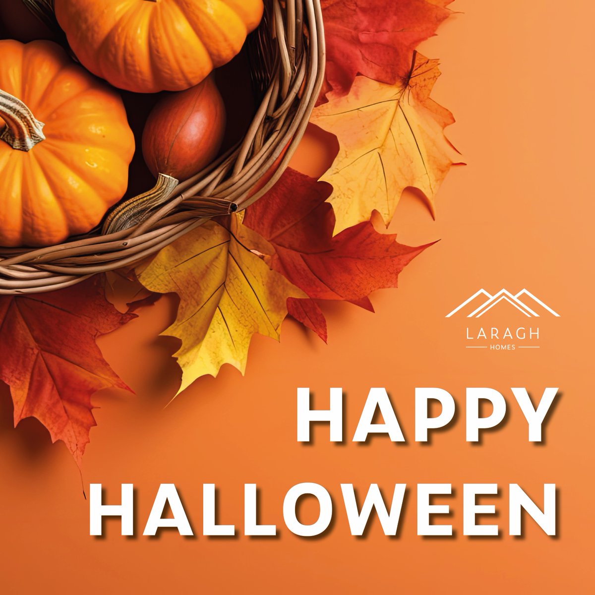 Happy Halloween from the Laragh team! 🕸️👻