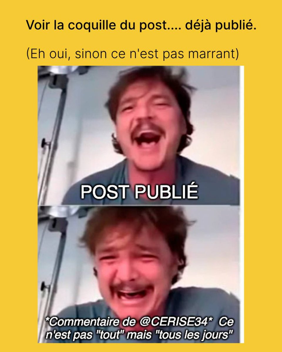 Metricool FR ∞ (@metricool_fr) on Twitter photo 