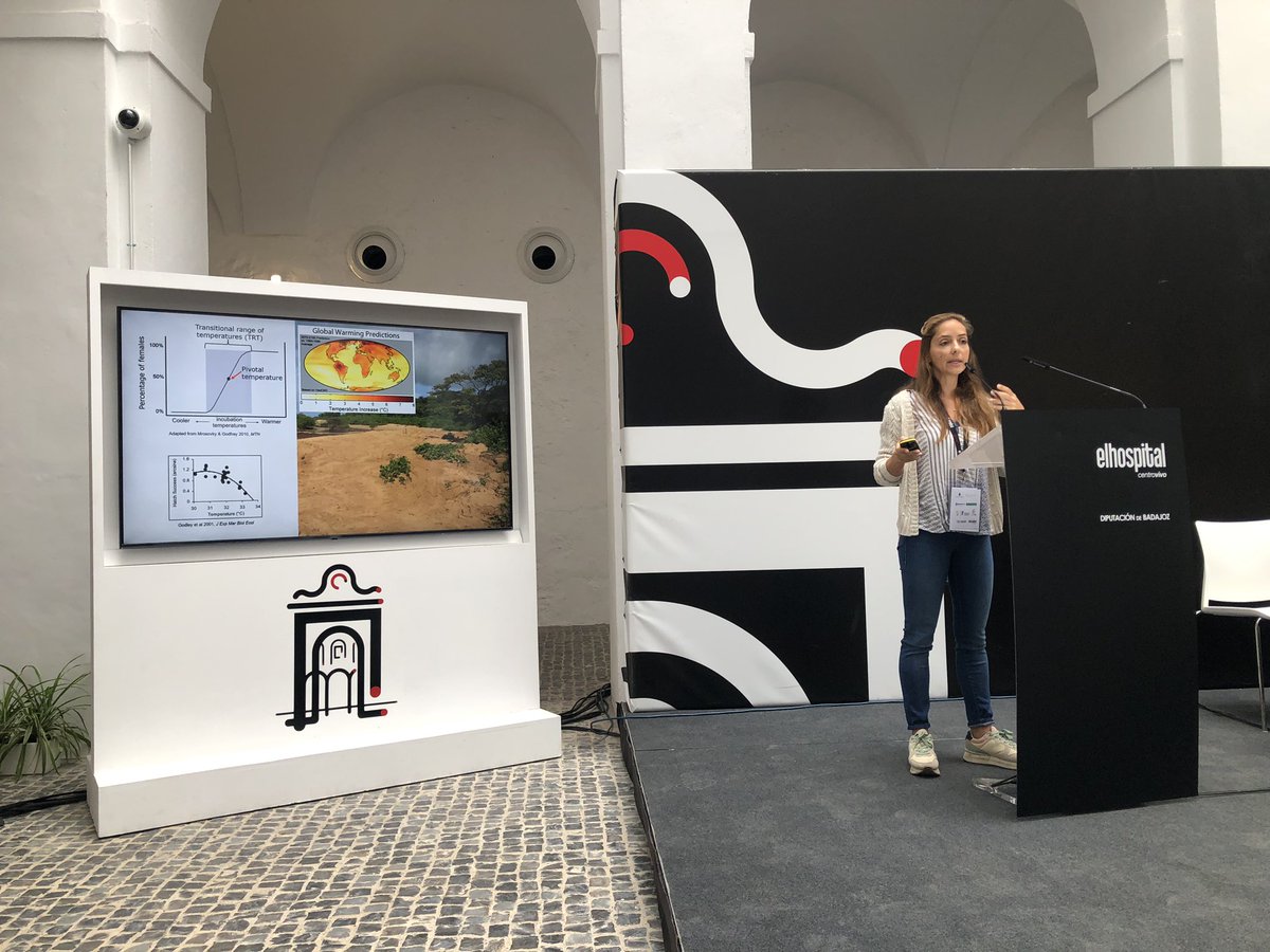 SenarJC's tweet photo. Great inaugural conference at Spanish Ethological and Evolutionary Ecology Conference in Badajoz by Rita Patricio, on marine turtles and climate change https://t.co/uLnQB0m4Uy