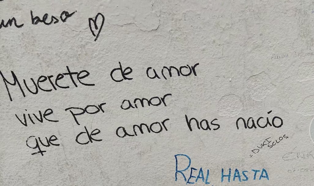 helennnv9's tweet photo. Paredes chulis https://t.co/2l69H49r0t