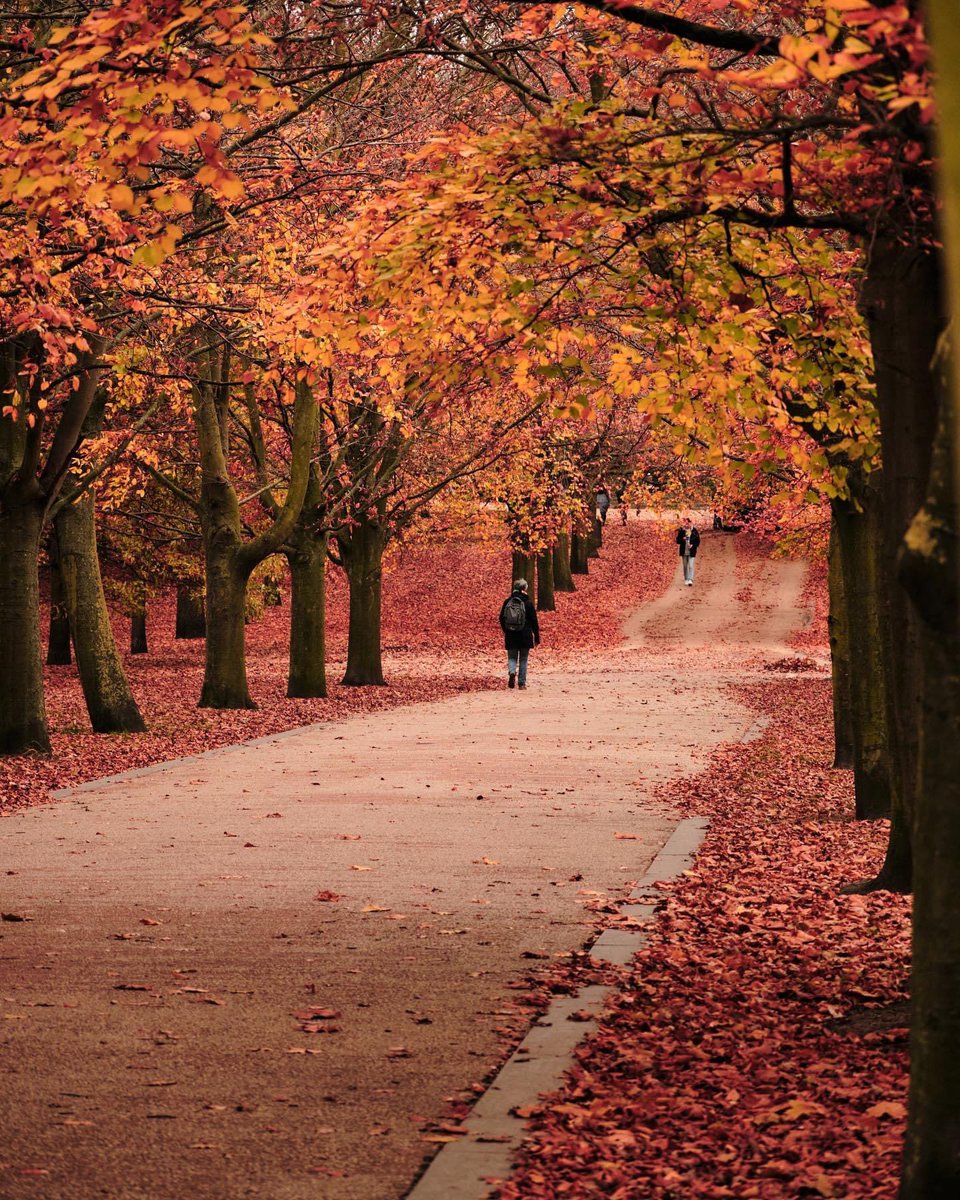 CanaryPlaza's tweet photo. Golden hues and crisp air โ autumn in Greenwich Park is simply magical. Make Canary Riverside Plaza Hotel your cozy retreat amidst this seasonal wonder. ๐
๐Greenwich Park
๐ท IG: _ronan_duff
#CanaryRiversidePlaza #London #Greenwich #GreenwichPark #Autumn #AutumnEscapes https://t.co/whkiHgVgtA