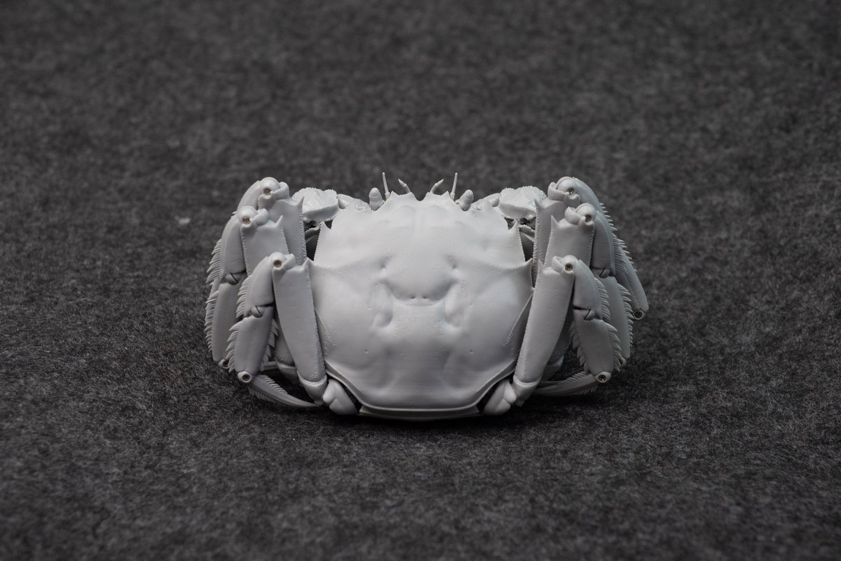 中华绒螯蟹树脂自在置物