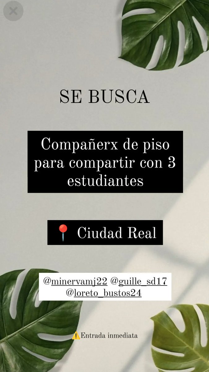 LBustos24's tweet photo. Se busca compañerx de piso en Ciudad Real, a compartir con tres estudiantes. Entrada inmediata, más info MD😊  @wikiCR https://t.co/C6h3x6ZLRS