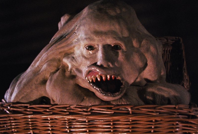 blondeonaboat's tweet photo. My estranged I mean deranged brother came to visit. What a basket case. Happy Halloween everybody! 🦇👽🎃💀👻 https://t.co/fqhVZ0QFXw