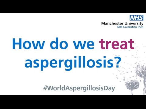 How do we treat aspergillosis? Watch this video from our World Aspergillosis Day Seminar Series by Dr Chris Kosmidis to find out more. #Idtwitter #meded #medtwitter #aspergillosis #aspergillus youtu.be/RzjmkIVOFFY