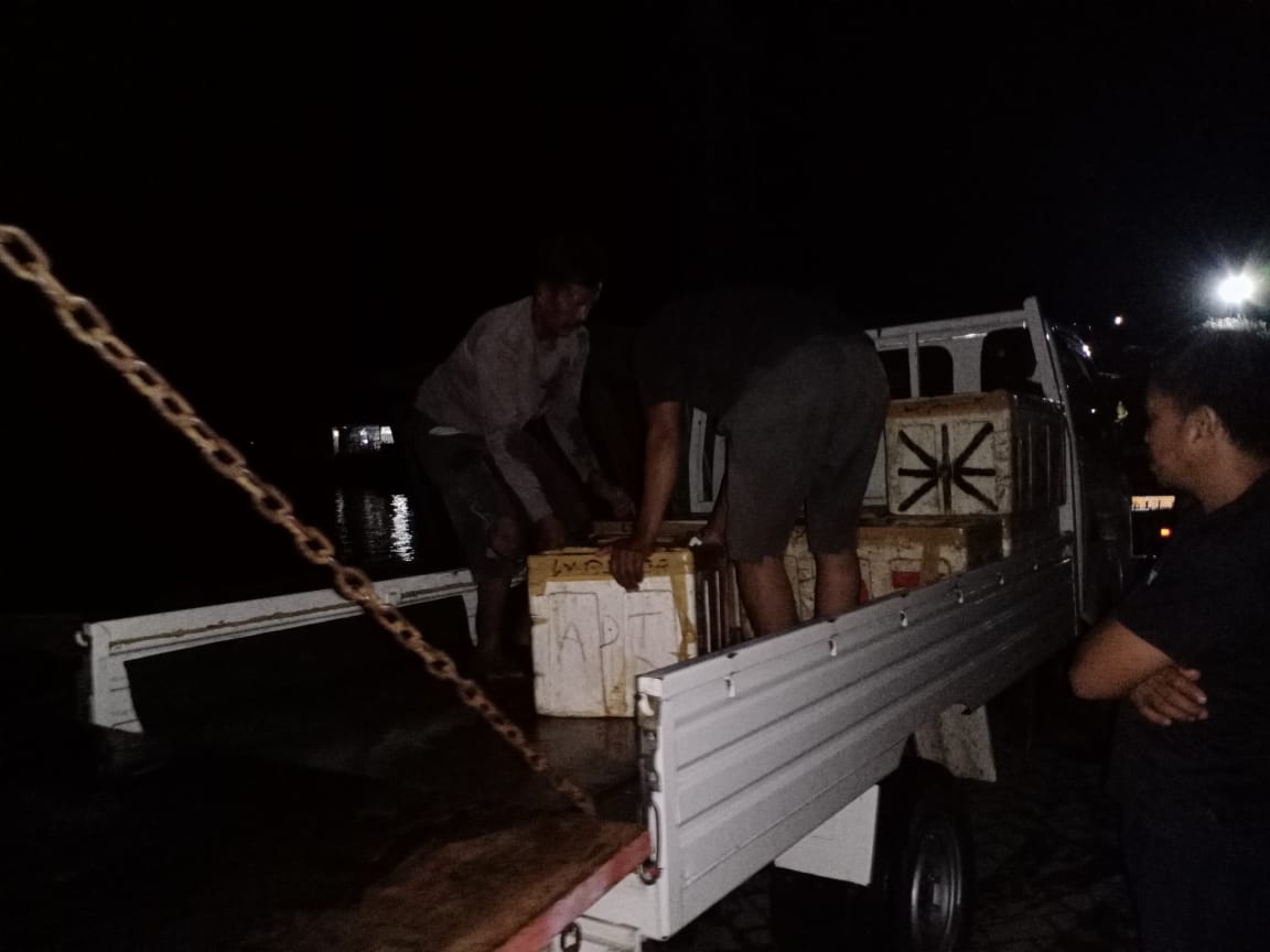 30/10/2023 Kegiatan pengawasan dan pemeriksaan domestik masuk di pelabuhan penyeberangan bajoe oleh petugas
<a href="/BkipmBajoe/">BKIPM BajoeEWAKO</a>
asal
<a href="/BKIPMWilKolaka/">BKIPM Kolaka</a>
#KKPThrive
@bkipm_kkp
<a href="/IdjahChadidjah/">Idjah</a>
@BKIPMMakassar