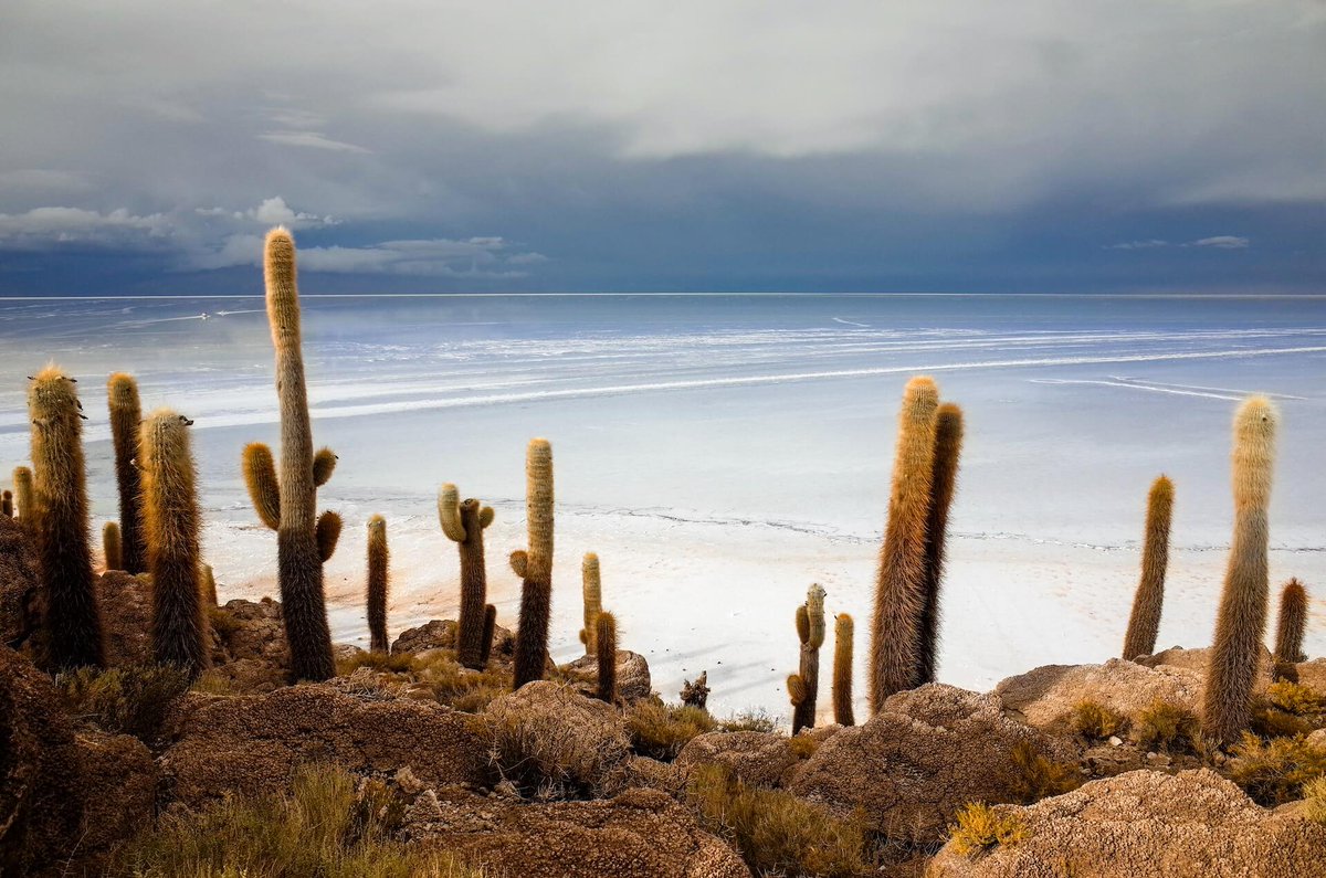 Uyuni, Bolivia: Discovering the World’s Largest #SaltFlat tinyurl.com/yfs8fc7y #Uyuni, Bolivia, is a place of wonder and enchantment. It is renowned for the Salar de Uyuni, the world’s largest salt flat, which stretches over 10,000 square kilometres. #traveller