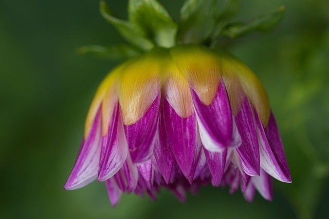 VimalRecurpost's tweet image. ALT Checking