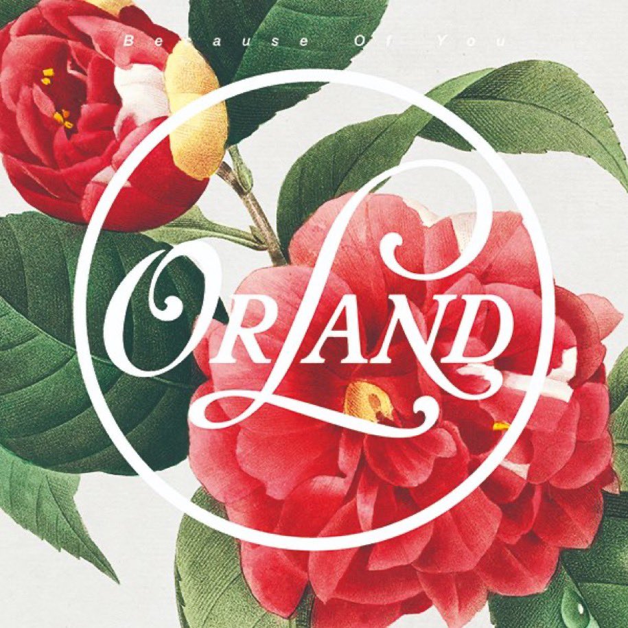 【11/3発売！予約受付中！】

《レコードの日 2023 対象商品》

・Orland / Because Of You / 7" / 2200円

名古屋在住・トークボックス使いのインディーエレクトロシンセバンド！
デビュー10周年を記念した特別盤◎
c/wには3rd EPから「Do-De-Da 〜Trimondo Negimina〜(feat. Negicco)」を収録。