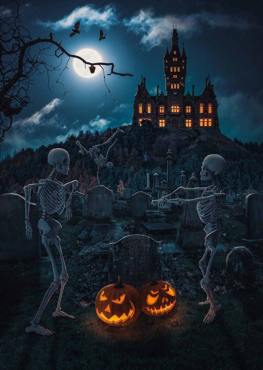 Morgan Academy tweet media