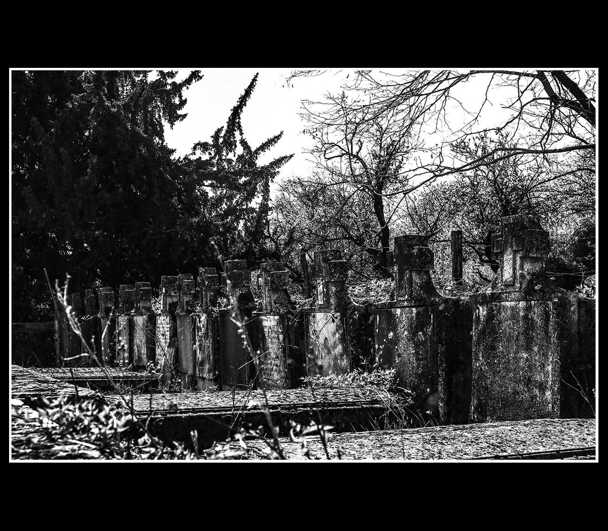 #halloween #helloween #cemetary #grave #tomb #noiretblanc #monochrome #bnw #bnwphoto #bnwphotography #blacknwhite #blackandwhite #bw #bwphotography #blackandwhitephotography #black_and_white #photoobserve #xt3 #fujixt3 #fujix #fujifilm #fujifilm_xseries