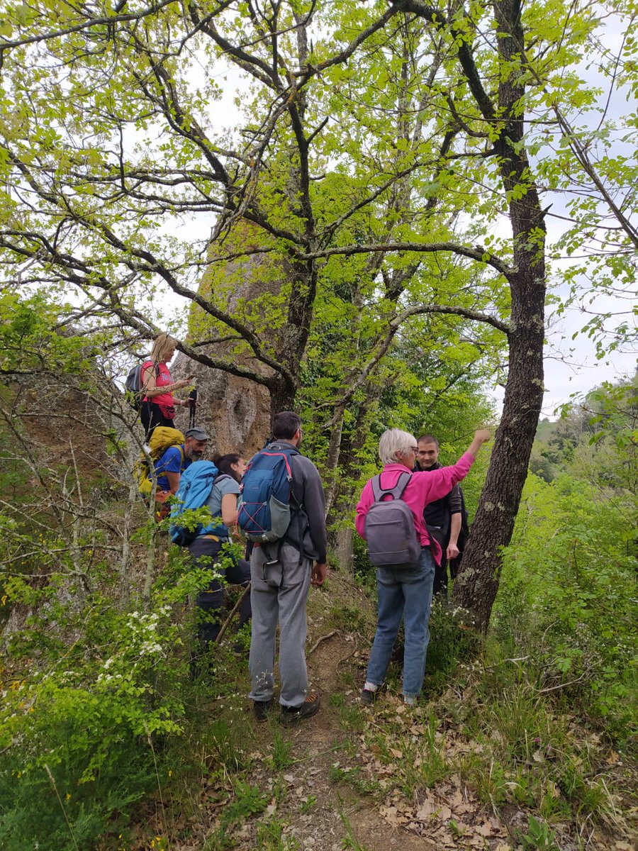 Visita guidata alla ricerca delle testimonianze del passato: domenica 5 novembre tra Mazzano e Monte Gelato Foto Amici del MAVNA <a href="/ParcoTreja/">ParcoValledelTreja</a> shorturl.at/mxFT2