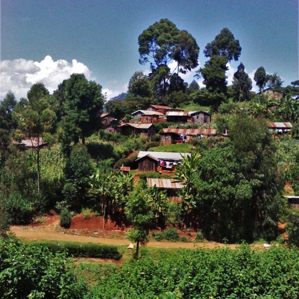 The countryside. Kenyan Central Province.
#Tourism #Travel #photography #countryside #Trees #Traditional #Nature #Naturephotography #Naturebeauty #Naturelover #Centralprovince