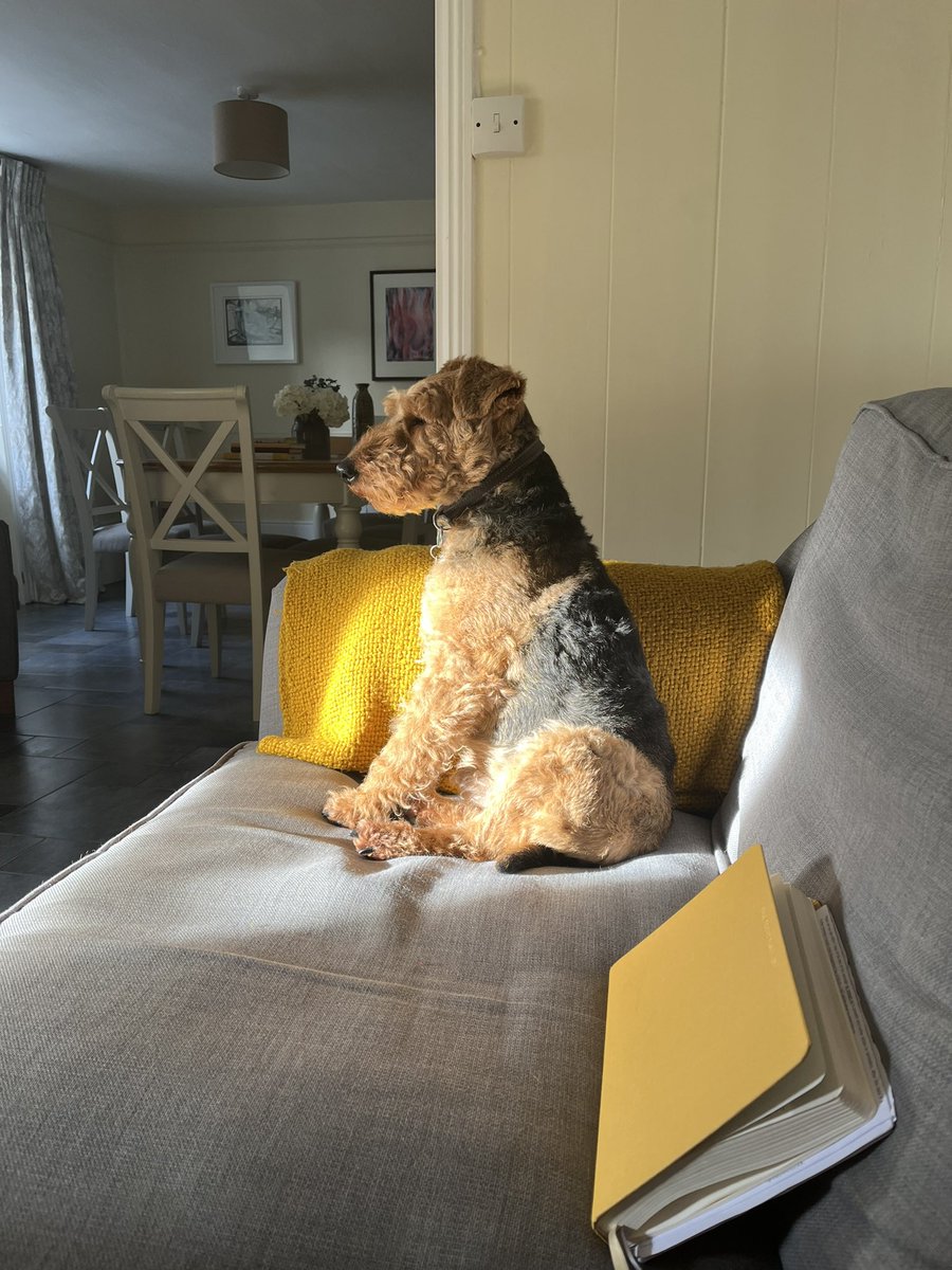 Sophie Hannah tweet media