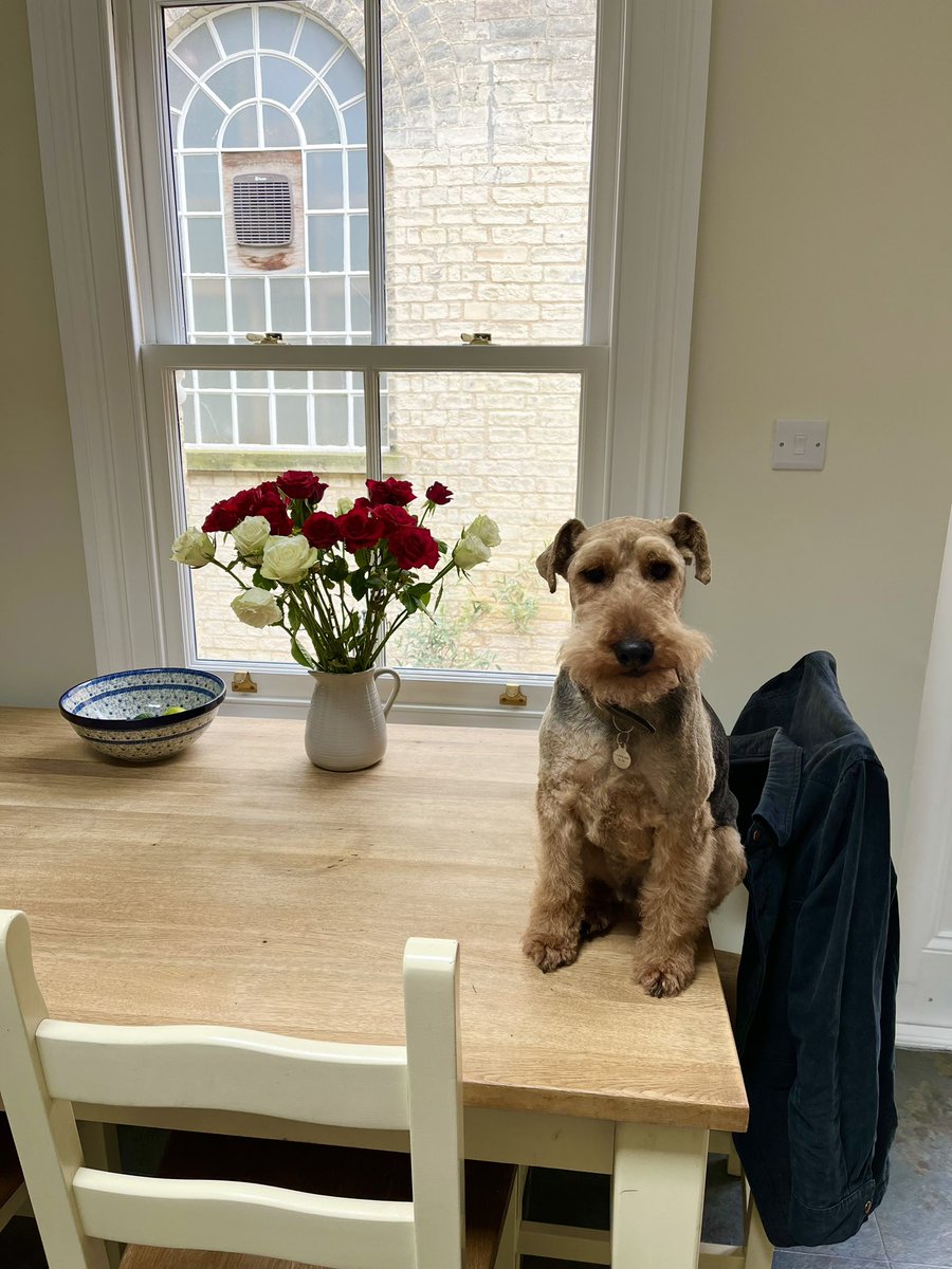 Sophie Hannah tweet media