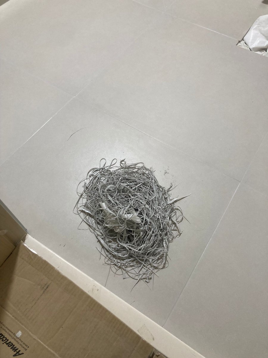 NicolaLi10's tweet image. Perflex Korea’s newest bathroom grouting project was completed with Perflex polypro grout. All tile joints were fully filled with the grout to be waterproof and anti-mold.

#perflex #homedecor #tilers #tilingwork #bathroomdesign #kitchendesign #homeremodel #polyaspartic #epoxy