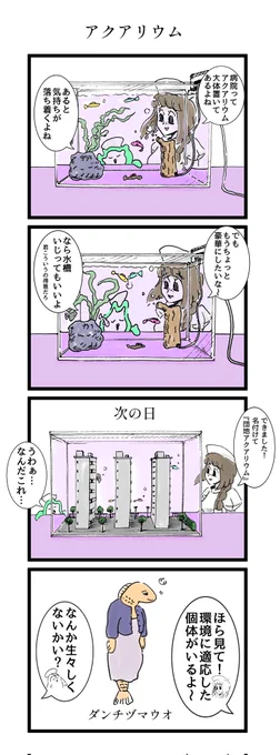 ナースとアクアリウムの漫画