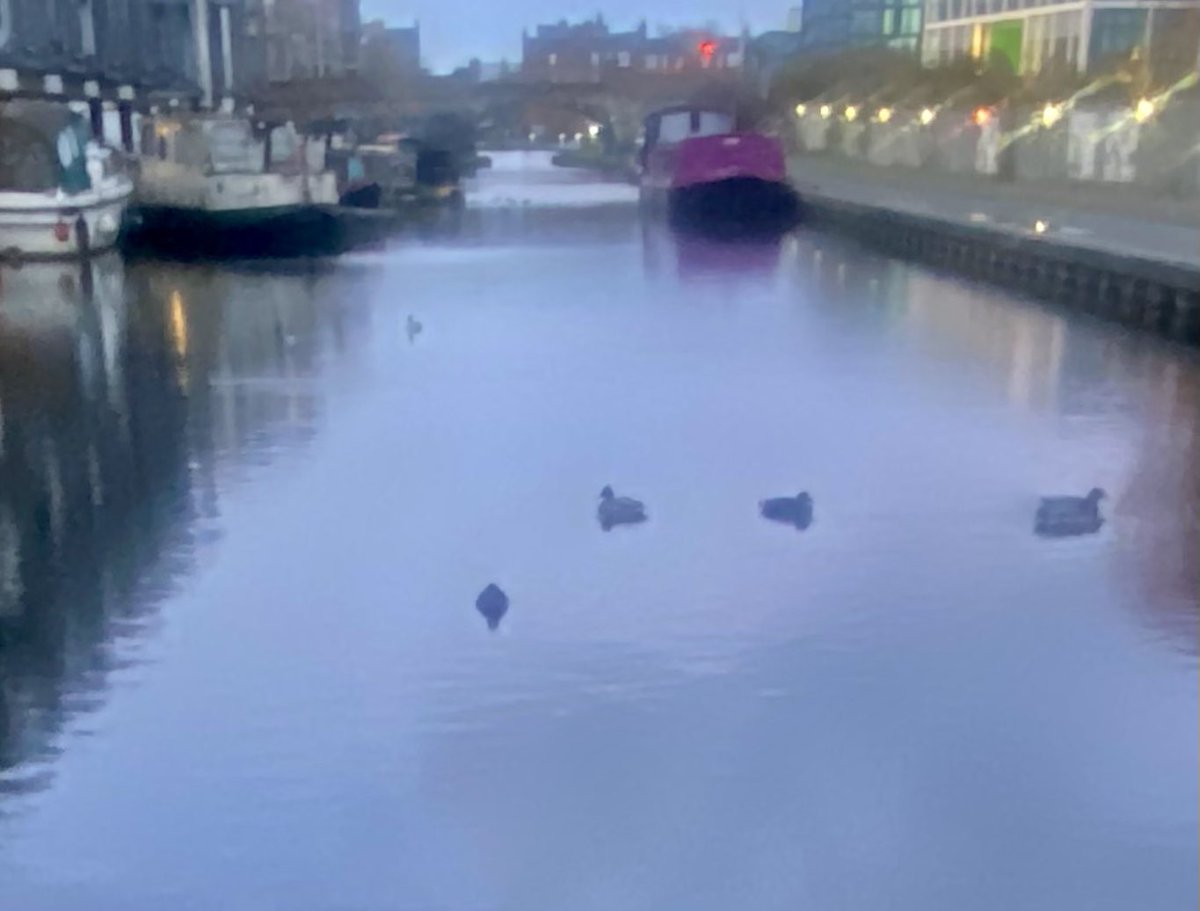 JudeMckerrecher's tweet image. #Tinymomentsofjoy in a light morning🫶Listening  to a meditation on way to work🙏A busy term where everyone works intensively hard. Remembering self care, priorities &amp;amp; keeping a #focusonthepositive That’s where productivity&amp;amp;creativity flourish, not in forced control or systems🙌