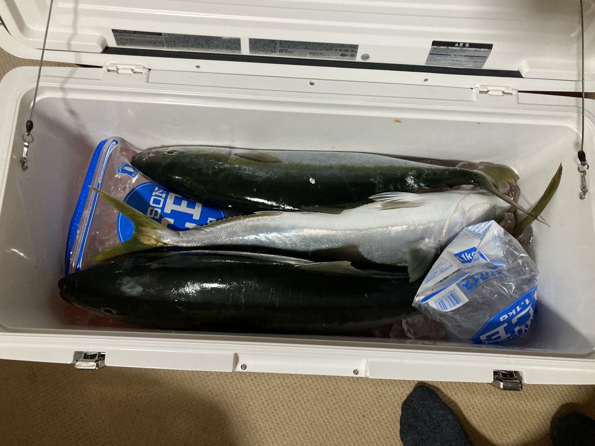 izu_ken's tweet photo. 鳴門ジギング
船酔いでほぼ死んでた
またサワラリベンジ！ https://t.co/HjWfYsDw6k