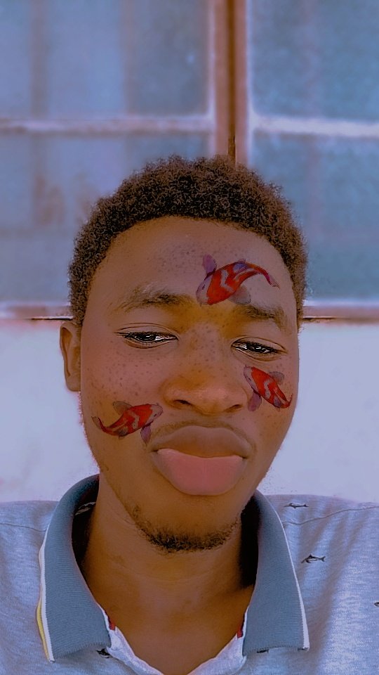 RexToby2's tweet image. I took a Photo 💫