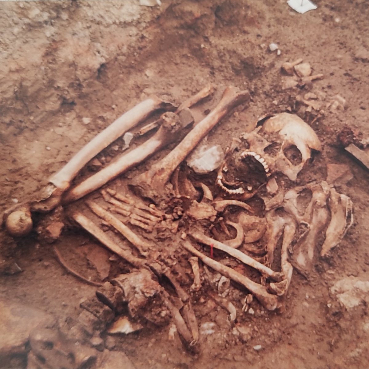 Las diferentes costumbres en torno a la muerte son asombrosamente variadas a lo largo del planeta y de las distintas culturas que han ido existiendo durante nuestra historia humana.