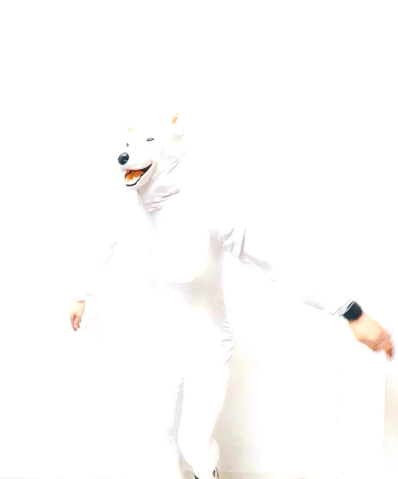 コスプレ「壁と同化する犬」  #ハロウィン #仮装