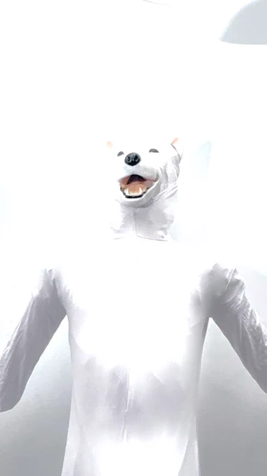 コスプレ「壁と同化する犬」  #ハロウィン #仮装