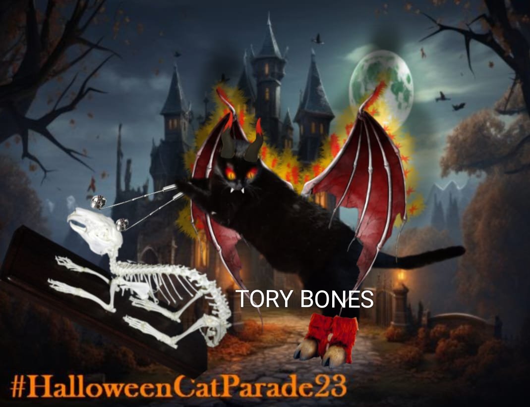 Happy HaLLo iaN paLs 🎃
#HalloweenCatParade23