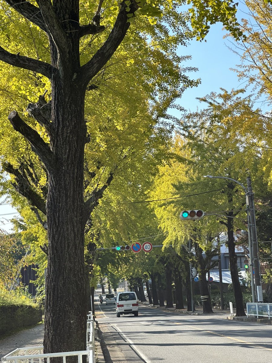 Xiaoquan tweet media