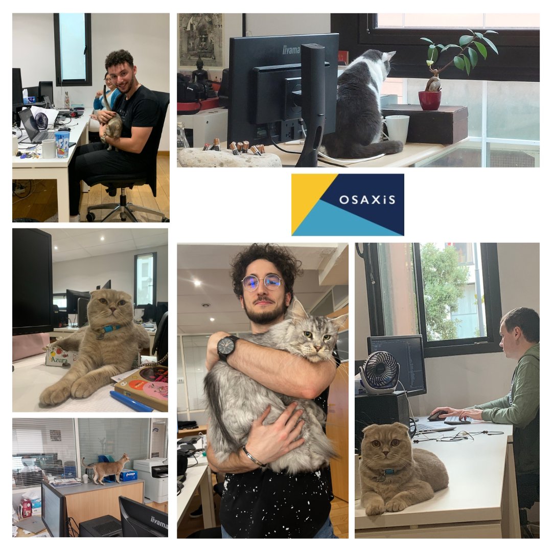 🐱Accueillir des chats au bureau pendant les heures de travail ? C’est possible et les avantages sont nombreux. Nous l’avons fait chez Osaxis et l’expérience est plus que appréciée par nos équipes 😊.
—> En savoir plus shorturl.at/cuUV6