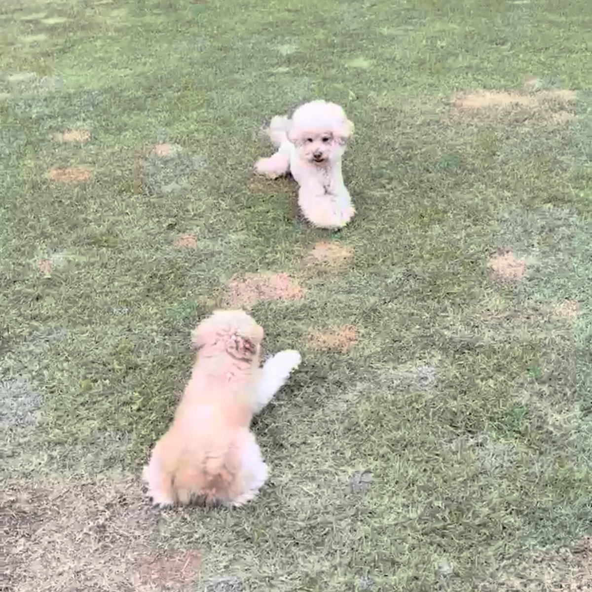 금비 아카이브 tweet media