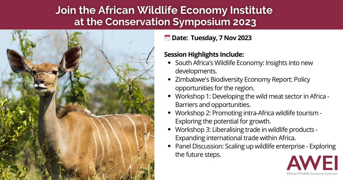 AWEI will be hosting a one-day special session at this year's @conservationsym. Attend in person or online to explore critical topics shaping Africa's wildlife conservation and economy. More info: www0.sun.ac.za/.../conservati… Register here: bit.ly/ConservatianSy… #WildlifeEconomy