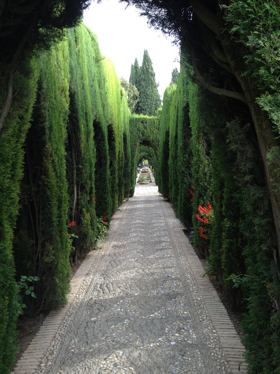 AliciaMimundo's tweet photo. Los Jardines del Generalife en la Alhambra, fueron el lugar de retiro y esparcimiento de los reyes granadinos. Creados en su mayor parte en el s. XIV tienen claras influencias orientales y el agua es su principal elemento. Todavía se conservan los cipreses de la época a los reyes nazaries. 
El núcleo y parte más emblemática de los jardines es el Patio de la Acequia.
