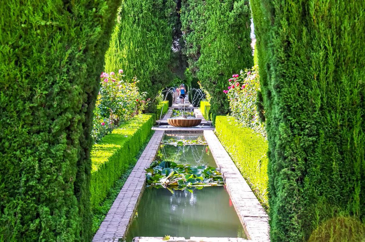 AliciaMimundo's tweet photo. Los Jardines del Generalife en la Alhambra, fueron el lugar de retiro y esparcimiento de los reyes granadinos. Creados en su mayor parte en el s. XIV tienen claras influencias orientales y el agua es su principal elemento. Todavía se conservan los cipreses de la época a los reyes nazaries. 
El núcleo y parte más emblemática de los jardines es el Patio de la Acequia.