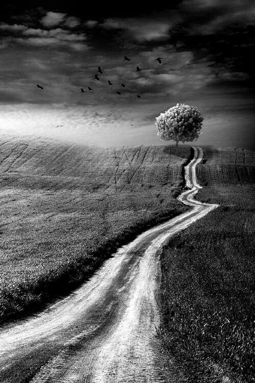 PierreBotte1's tweet photo. The Path I saw in a Dream https://t.co/3UWpusrEmX