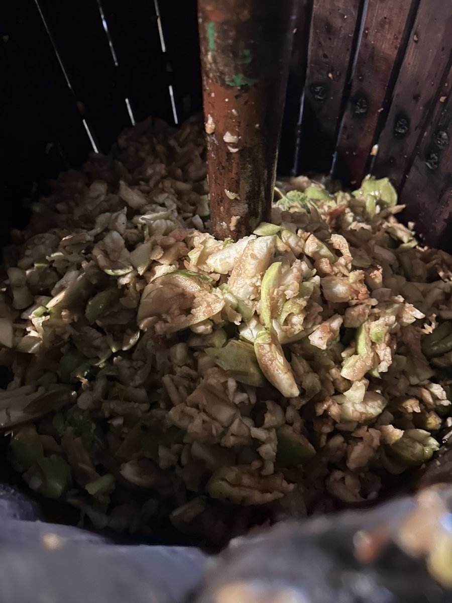 Making apple juice from the apple harvest. A lot of work for 18 litres of apple juice but well worth it. #makeyourown #selfsufficient #tastyapplejuuce