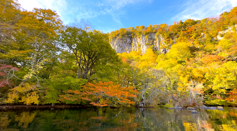 紅葉見頃・紅葉便り (@087com) / Posts / X