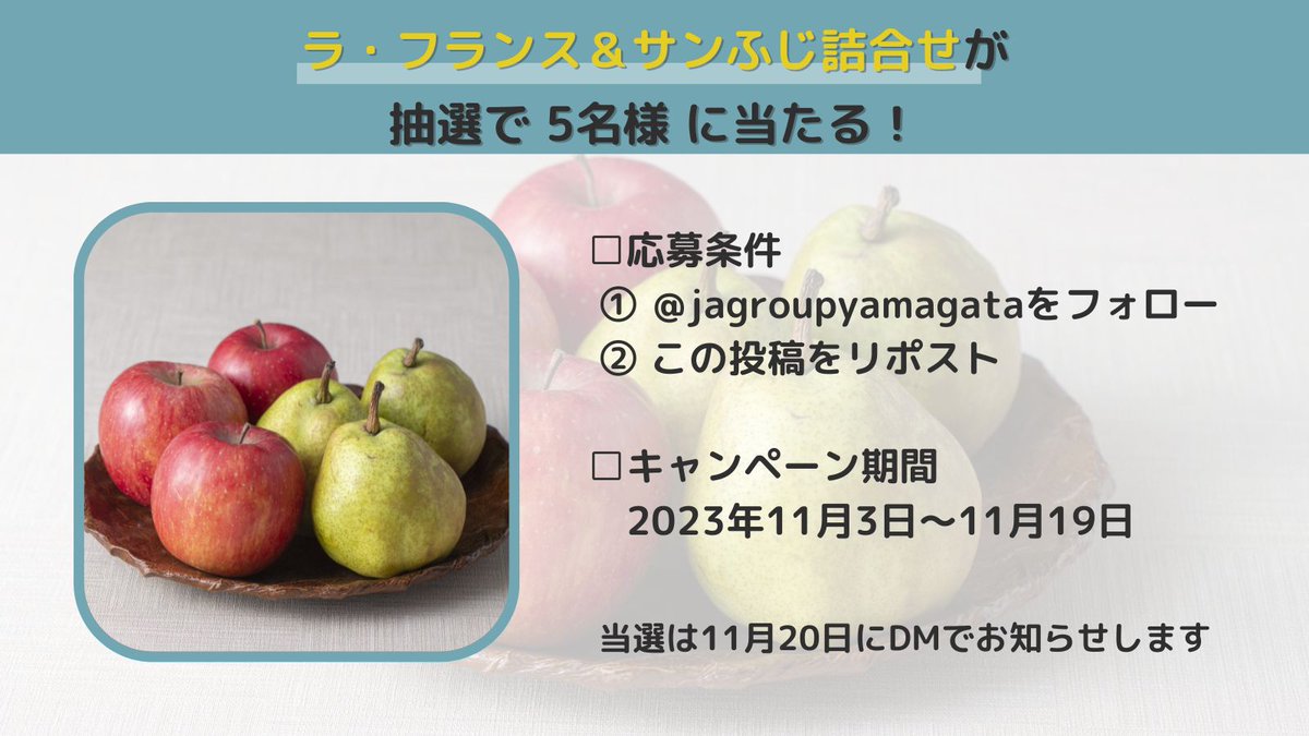 jagroupyamagata's tweet photo. 🎁お知らせ🎁

抽選で「ラ・フランス＆サンふじ詰合せ」が当たる🍐
甘い香りととろけるような味わいのラ・フランス、太陽の光をたっぷり浴びたサンふじを豪華に詰合せ🍎

【応募方法】
①@jagroupyamagataをフォロー
②この投稿をリポスト
【当選発表】
2023年11月20日(DMにて)

#JAグループ山形 https://t.co/YB0spop8T9