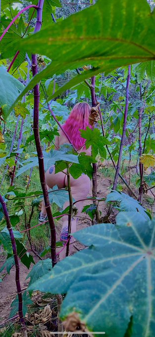 You&rsquo;re on a hike and you see this. Wyd? https://t.co/hQHYk8XJOf<a href="/tag/realloyalfans"class="tags"><span>#realloyalfans</span></a>