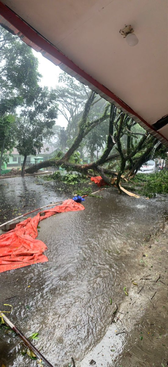 PemkotaBogor's tweet photo. Bogorian saat ini jalan Gunung Batu tidak bisa diakses karena terjadi pohon tumbang di depan Batalyon 315. Mohon gunakan jalur alternatif lainnya dan berhati-hati selama berkendara. https://t.co/RYtMRE9YKp