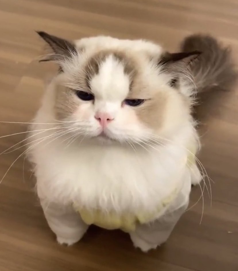 ยี่หวา (@y1wh4d) on Twitter photo 