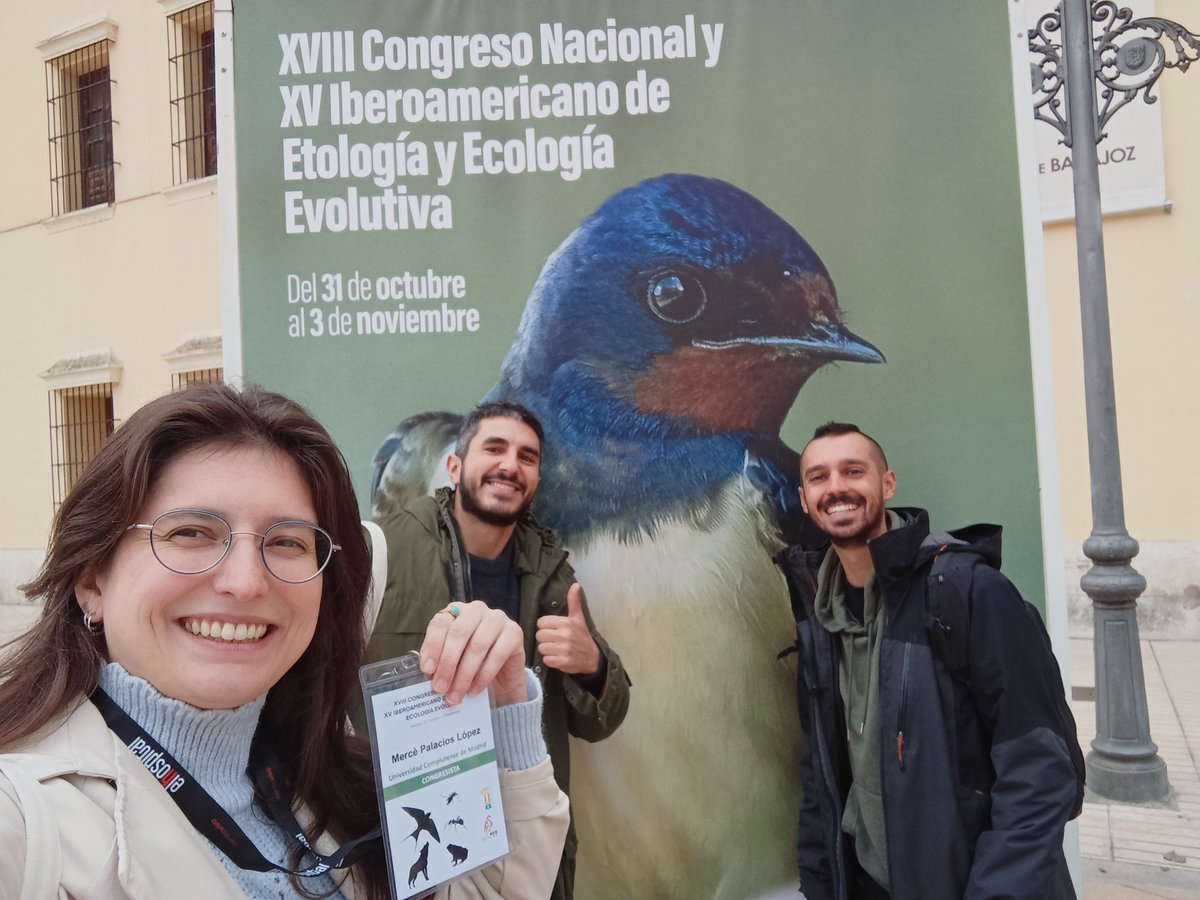 Hey there! We are ready for the #SEEEE23 conference, let's go!! <a href="/jgarciacampa/">Jorge García Campa</a>