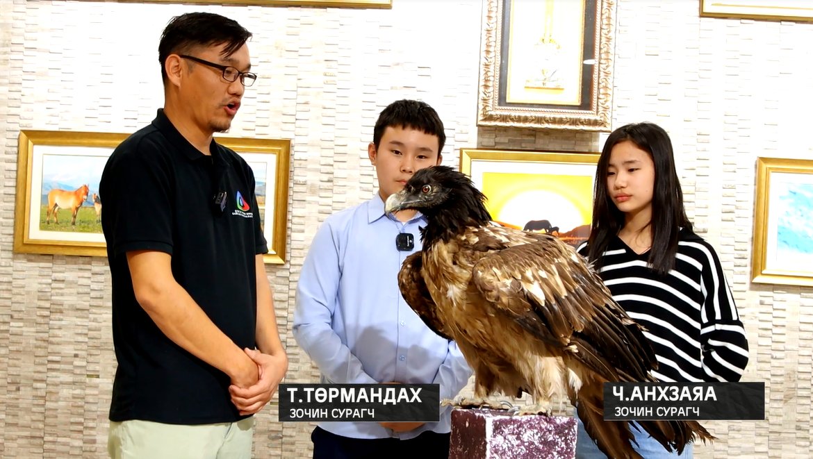 Асар тэнгэрт дүүлэн нисэж, хүршгүй өндөрт үүрлэдэг ёл шувуу сэг зэмээр хооллодог учраас байгальд цэвэрлэгчийн үүрэг гүйцэтгэдэг.#Хүүхэд,залуусын экологийн боловсролд зориулж БОАЖЯ-ны харьяа ЦУНБХТ-н амьтны музейгээс бэлтгэв. Ёл шувуу видеог линкээр үзнэ үү facebook.com/FWNCC2023/vide…
