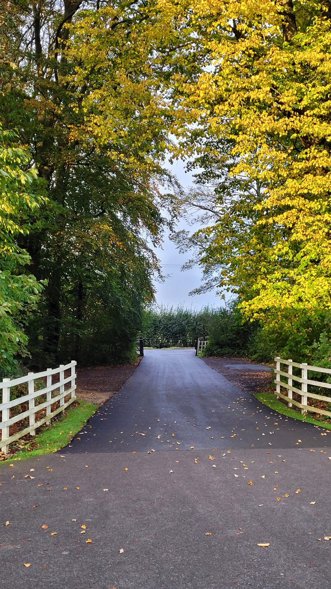 HambletonBakery's tweet photo. Too good not to share … what a difference a day makes……beautiful 📷 by @nicolawiles 

#autumnvibes🍂🍁 #autumnleaves #pumpkinseason 

#realbread #longfermentation 
#noadditives #nopreservatives #notultraprocessed https://t.co/rfJpVa3xCq