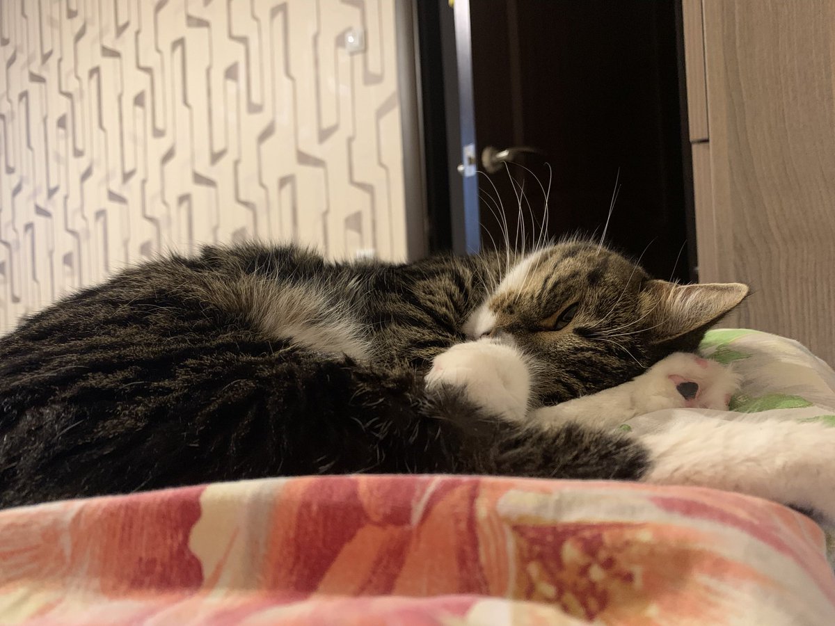 Good morning beautiful people😻😻😻